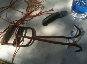 Hay buck - Alchetron, The Free Social Encyclopedia