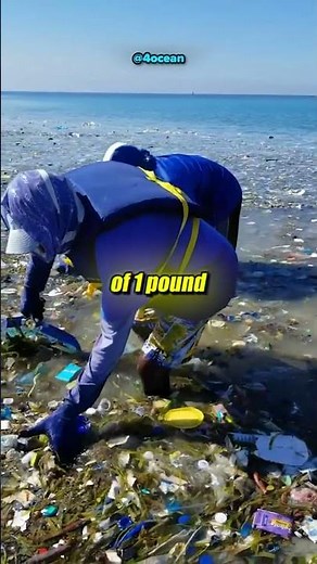 How 4Ocean is Fighting Trash in the Sea