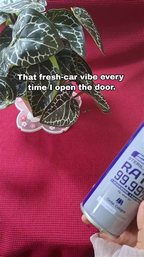 Enhance Your Ride with Car Perfume