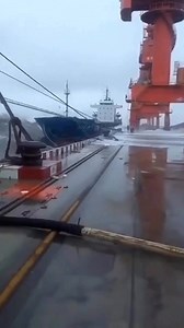Whose fault in this incident🤔 Sea screen ⚓🌍 | Sea screen