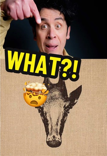 This illusion is SO cool!!🤯 I’m on tour RIGHT NOW with a brand new live show featuring astonishing sleight of hand, jaw-dropping illusions and it’s pretty funny too. GRAB TICKETS via the link in my bio☝️☝️☝️ #magictrick #magician #opticalillusion #fyp