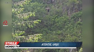 ȘTIRILE MONDO TV - ATENȚIE, URȘI! | Mondo TV