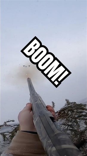 DRAKE MALLARD BITES THE DUST! | DUCK HUNTING | #hunting #duckhunting #waterfowl #shooting #hunt