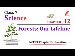 NCERT Solutions for Class 7 Science Chapter 12