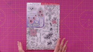 We are very excited about the brand-new issue of Creative Stamping! Issue 88 is on sale today and jam-packed with inspiring makes and plenty of top tips and techniques to get your Christmas crafting underway. Treat yourself to 10% OFF with the code NEWMAG Order your copy here: https://bit.ly/3l4falG (CraftStash UK) https://bit.ly/2EOWk2x (CraftStash US) This issue comes complete with a stunning 51-piece Floral Christmas A4 stamp set with matching dies, featuring designs by John Next Door. Boost 