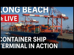 🚢 Long Beach LIVE: Container Ship Terminal in Action
