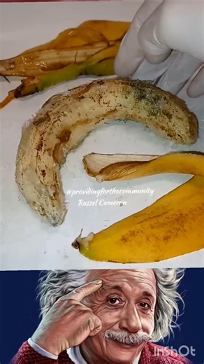 banana🍌experiments amazing facts trinding video #220v #banana #amazing #experiment #electrcal #viral