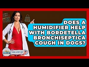 Does A Humidifier Help With Bordetella Bronchiseptica Cough In Dogs? - Ask A Pet Vet