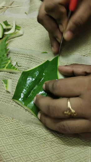 211K views · 1.2K reactions |  Food Carving Class by Abida Sultana ...