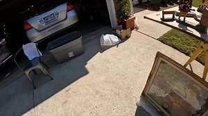 DID I MAKE A HUGE MISTAKE AT THIS YARD SALE? | ADHDave