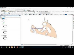 Shoreline Delineation