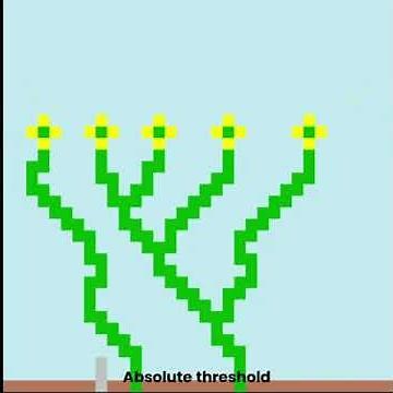 Playing With The Wave Function Collapse Algorithm