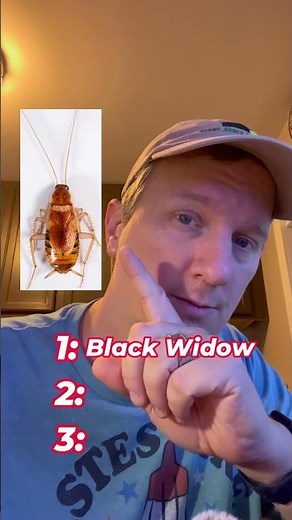 Can You Identify These Common Pests - Part 2