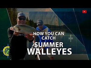 Lake Pepin Mid Summer Walleyes | Trolling and Jigging Tips for Hot Weather Walleye Success