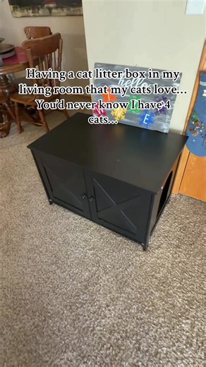 Pause on regular programming for this ad. Back to your scheduled programming now. #fyp #viral #TikTokPartner