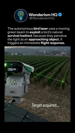 This Robot Scares Birds Away With LASERS!