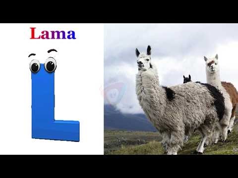 Phonics for kids| ABC song for Toddlers| Learn ABC and Alphabet Letters| Nursery Rhymes and Videos