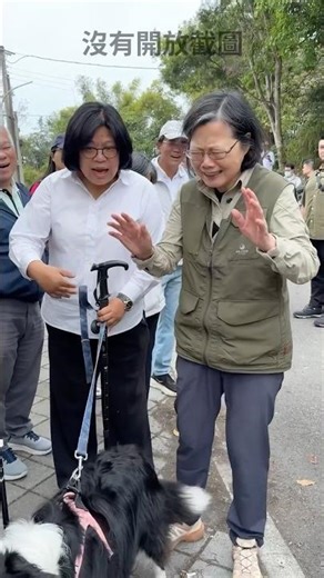 嘉義爬山遇到邊境牧羊犬૮ฅ・ﻌ・აft.王美惠｜小英登山團 #shorts