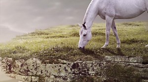 70 reactions · 17 shares | New CORE EQ INNOVATOR™ is the first and only vaccine to help protect against all potentially fatal core horse diseases in one injection, and it’s only available from a veterinarian. Visit CoreEQInnovator.com to learn more. | Zoetis Equine | Facebook