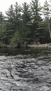 24K views · 354 reactions | Our best raw video clip of the year happened today!! ‍♂️ | Wilsons On Moosehead Lake | Facebook