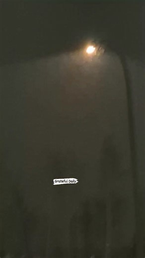 22 reactions · 33 comments | Snow, snow and more snow ❄️ #snowfall #snowflakes #snow #freezing #winter | Grateful Daily | Facebook