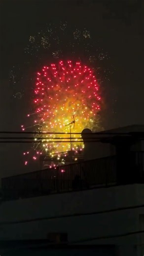 Did you see Tokyo’s oldest and most iconic fireworks festival last weekend? 🎆