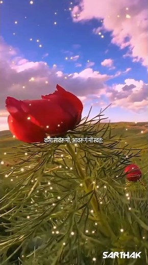 Aabhas Ha Song Video - Yanda Kartavya Aahe | Marathi Romantic Songs | Ankush Choudhary, Smita