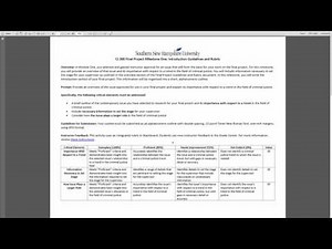 SNHU CJ 300 Milestone One Overview