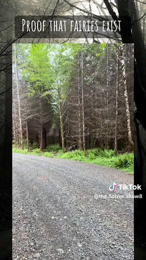 Real Life Fairies Caught on Camera - Proof of Existence