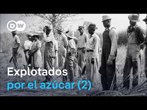 Sangre, sudor y trata de personas - Cómo el azúcar creó la esclavitud (2/2) | DW Documental