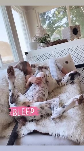 2.9K views · 129 reactions | #greatdanesunleashed #greatdanes #greatdane_lovers #greatdane_feature #greatdanesofinstagram #dogsofinstagram #dogstagram #doglife #greatdanepuppies #pnwdogsofinstagram #dogmomlife #dogmom #greatdanespage #harlequingreatdane #greatdanesunited #greatdaneproblems #dailydane #greatdanesworld #danelife #heartofdane #worldofdanes #greatdanecommunity #bigdog #greatdanesofkansas #petsofinstagram #pets #petsagram | Danes And Things | Facebook