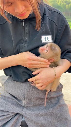 The little monkey was very happy to see his mother waiting for him after school.