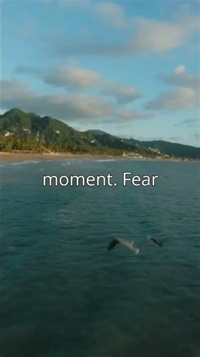 The Lord Is My Shepherd - Psalm 23:1 | Scriptural Motivation