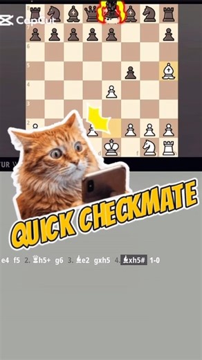 Quick Checkmate ♟️ Queen Sacrifice!