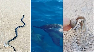 Rachel Hunter posts amazing video from her Fijian holiday