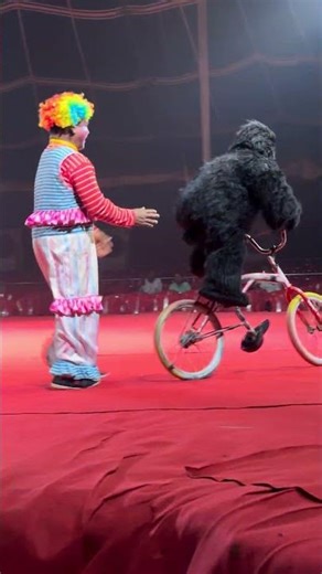 Circus Laughter😍🤡Chimpanzee and Joker’s Fun Moments!😍♥️
