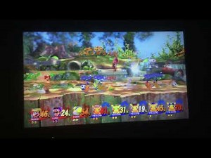 SSB4 - Ice Age Dodos Melon Fight