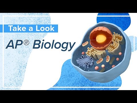 AP® Biology Overview
