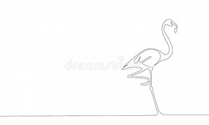 Continuous Line Drawing of Flamingo Vector Illustration Stock Illustration - Illustration of geometric, exotic: 178080736