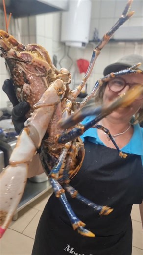 🦞 Marisqueira Novo Mariano – O Melhor Marisco no Interior! 🦐 Em Macedo de Cavaleiros, trazemos até si a frescura do mar, mesmo longe da costa! 🌊 Com marisco selecionado diariamente, garantimos qualidade superior e um serviço de excelência. Venha provar o sabor autêntico do mar no coração de Trás-os-Montes! 🍽️✨ | Marisqueira Novo Mariano