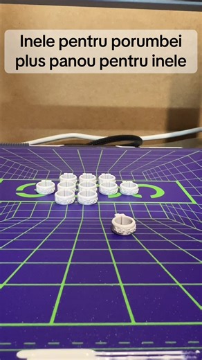 #Fyp #porumbei #porumbeiromania🇷🇴🕊🏆 #porumbeivoiajori❤🌏💪 TikTok