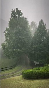 Instantly Fall Asleep With Heavy Rain And Thunder Sound At Night - Rain Sounds For Sleeping