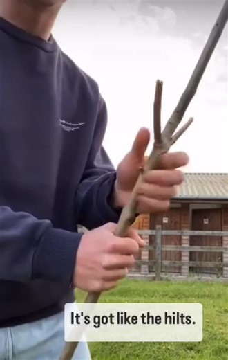 Comprehensive Review of Stick Mechanics