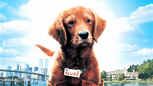 Fluke Summary, Trailer, Cast, Where to Watch and More