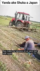 115K views · 872 reactions | Yanda ake Shuka a Kasar Japan #farming | Auwalu Tukur | Facebook