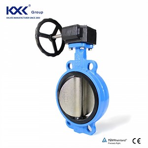 [Hot Item] DN300 Di Body Ss Disc EPDM Seat Wafer Type Butterfly Valve with Gearbox