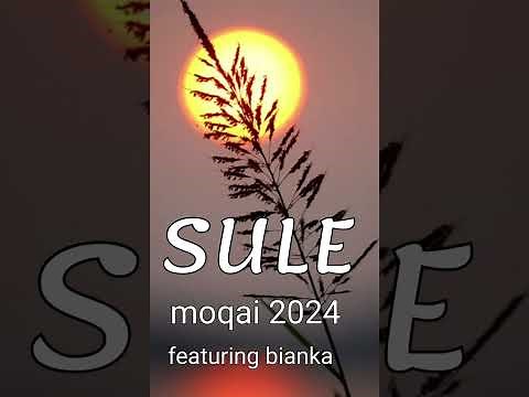 moqai 2024 featuring biankamoqai (SULE)