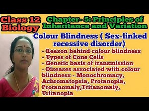 Colour blindness | Principles of Inheritance and Variation | Class 12 Biology | NEET Biology