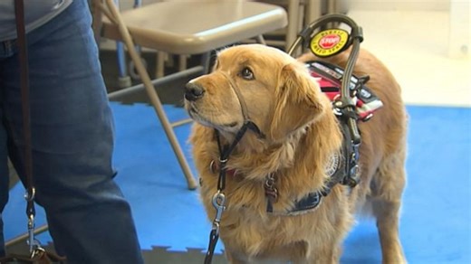 Colorado organization helps people with disabilities one service dog at a time