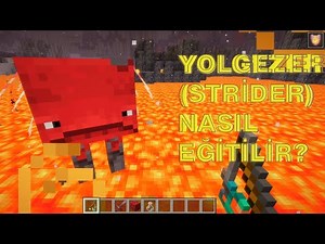 Minecraft Yolgezer (Strider) Nasıl Eğitilir? 1.16